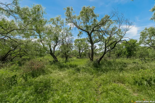 9259 TURKEY BARN LN Menard, TX 76859