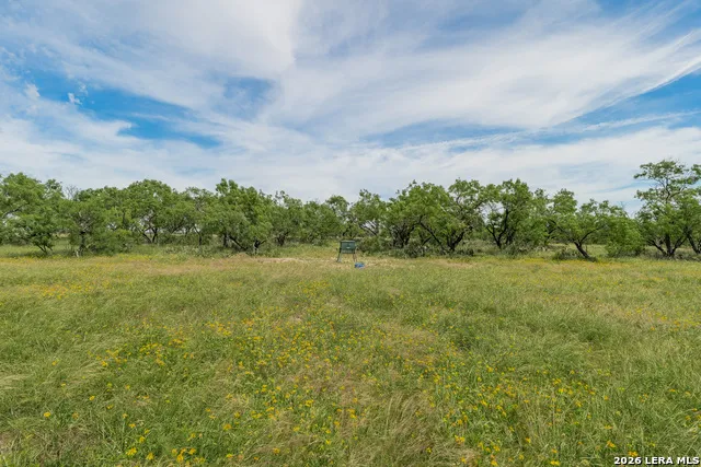 9259 TURKEY BARN LN Menard, TX 76859