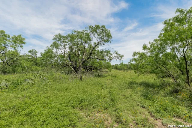 9259 TURKEY BARN LN Menard, TX 76859