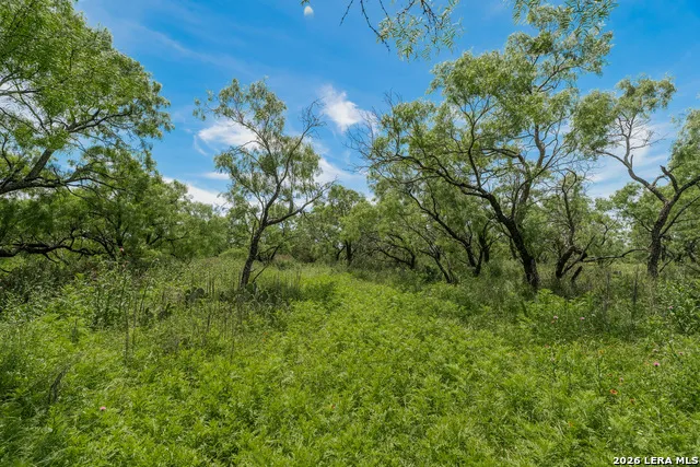 9259 TURKEY BARN LN Menard, TX 76859
