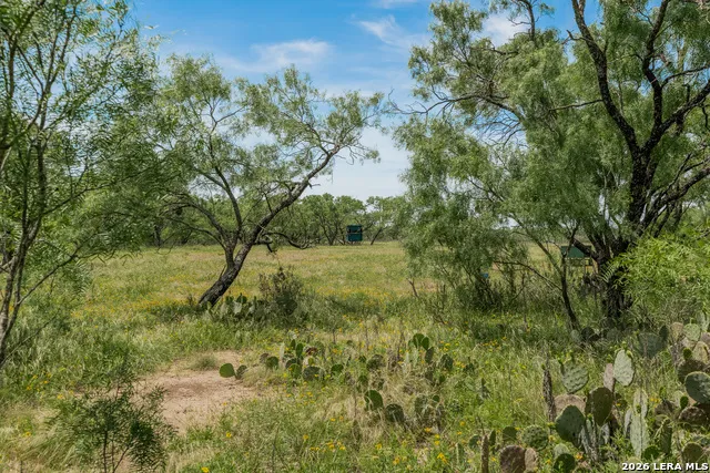 9259 TURKEY BARN LN Menard, TX 76859