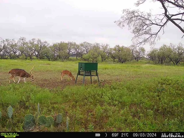 9259 TURKEY BARN LN Menard, TX 76859