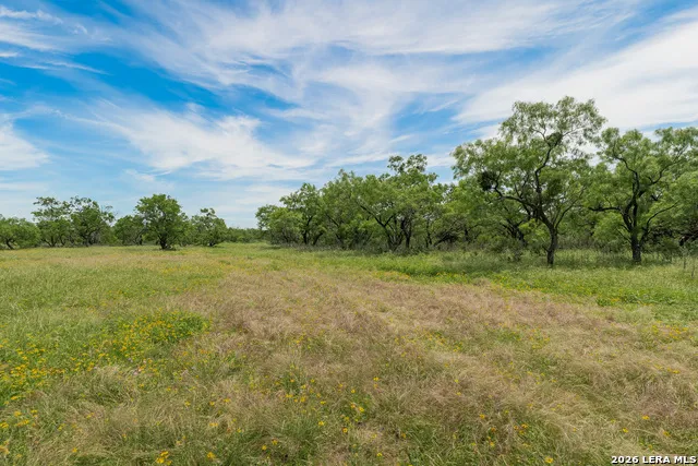 9259 TURKEY BARN LN Menard, TX 76859