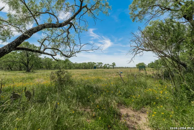 9259 TURKEY BARN LN Menard, TX 76859