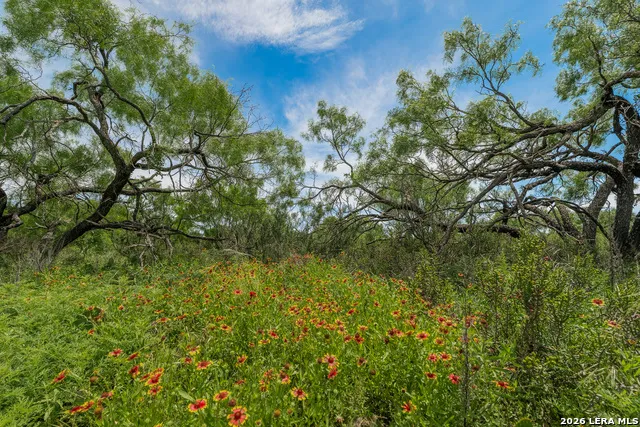 9259 TURKEY BARN LN Menard, TX 76859