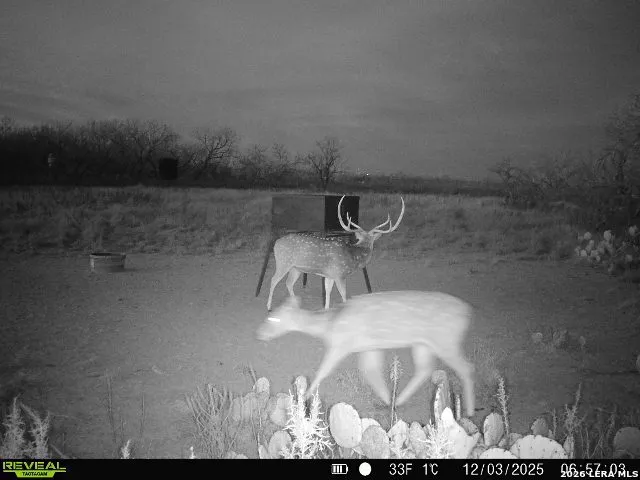 9259 TURKEY BARN LN Menard, TX 76859