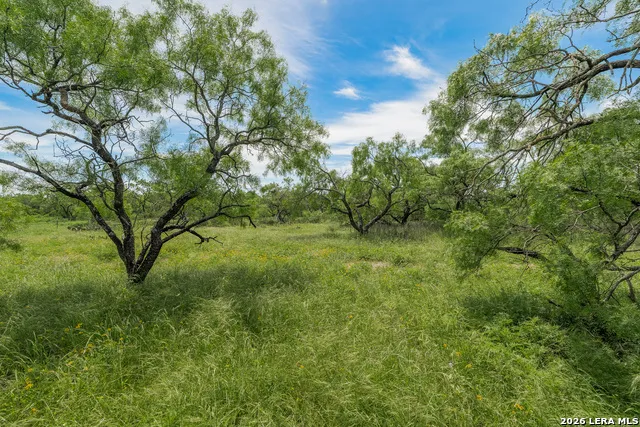 9259 TURKEY BARN LN Menard, TX 76859