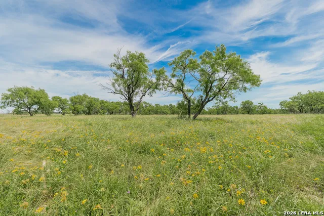 9259 TURKEY BARN LN Menard, TX 76859