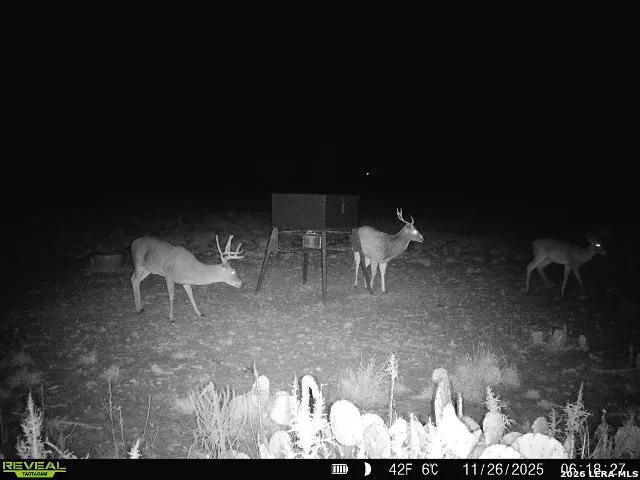 9259 TURKEY BARN LN Menard, TX 76859