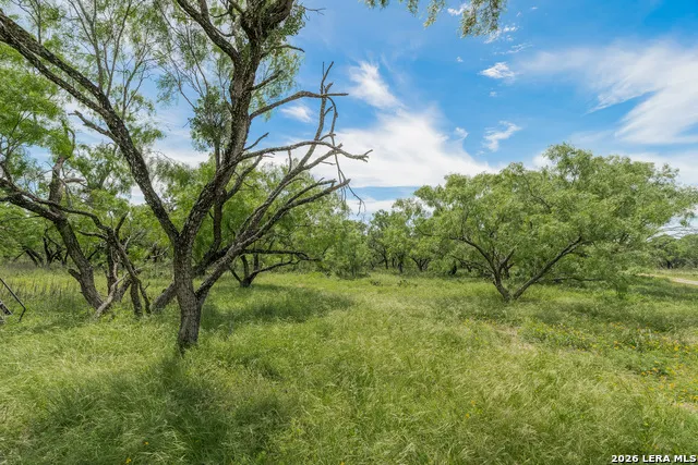 9259 TURKEY BARN LN Menard, TX 76859