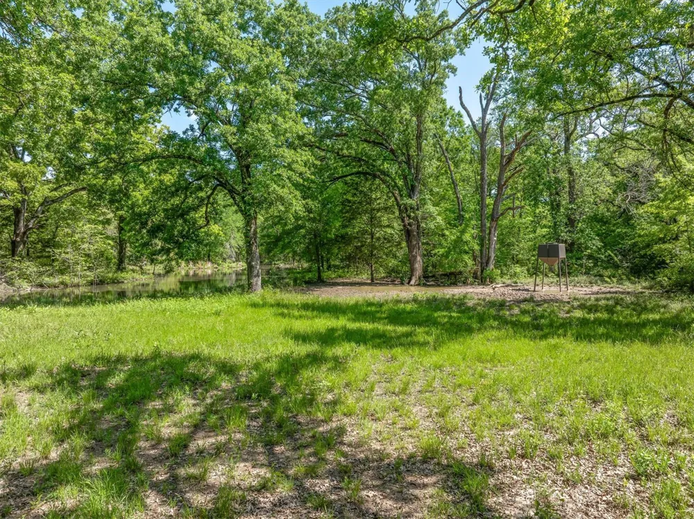 1189 Vz County Road 3702 Wills Point, TX 75169