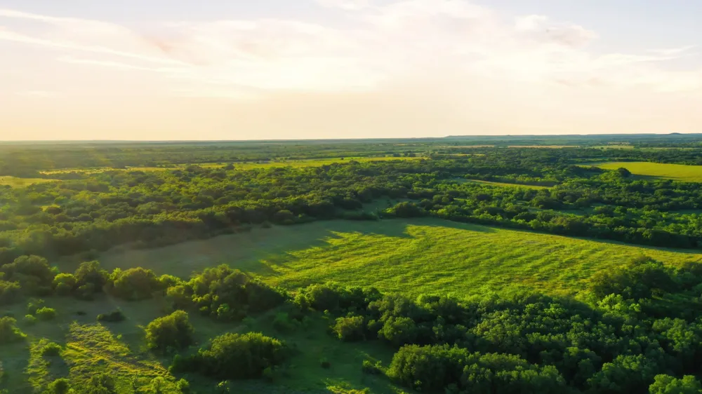 1343 County Road 188 Cross Plains, TX 76443