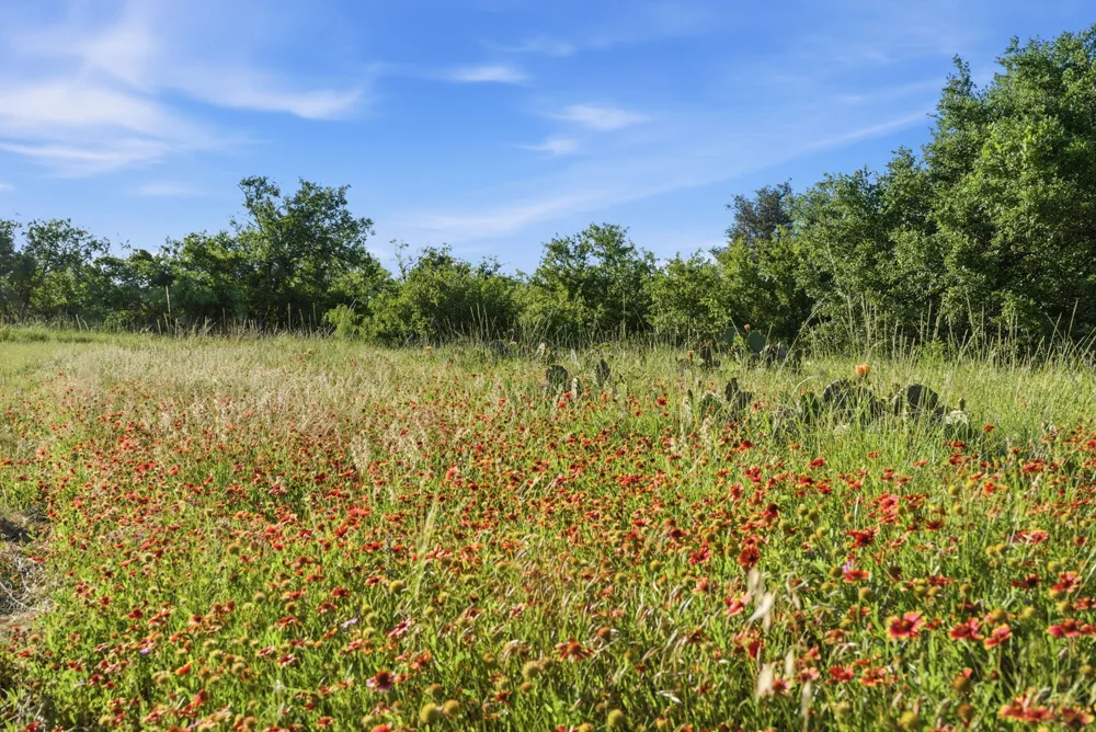 1343 County Road 188 Cross Plains, TX 76443