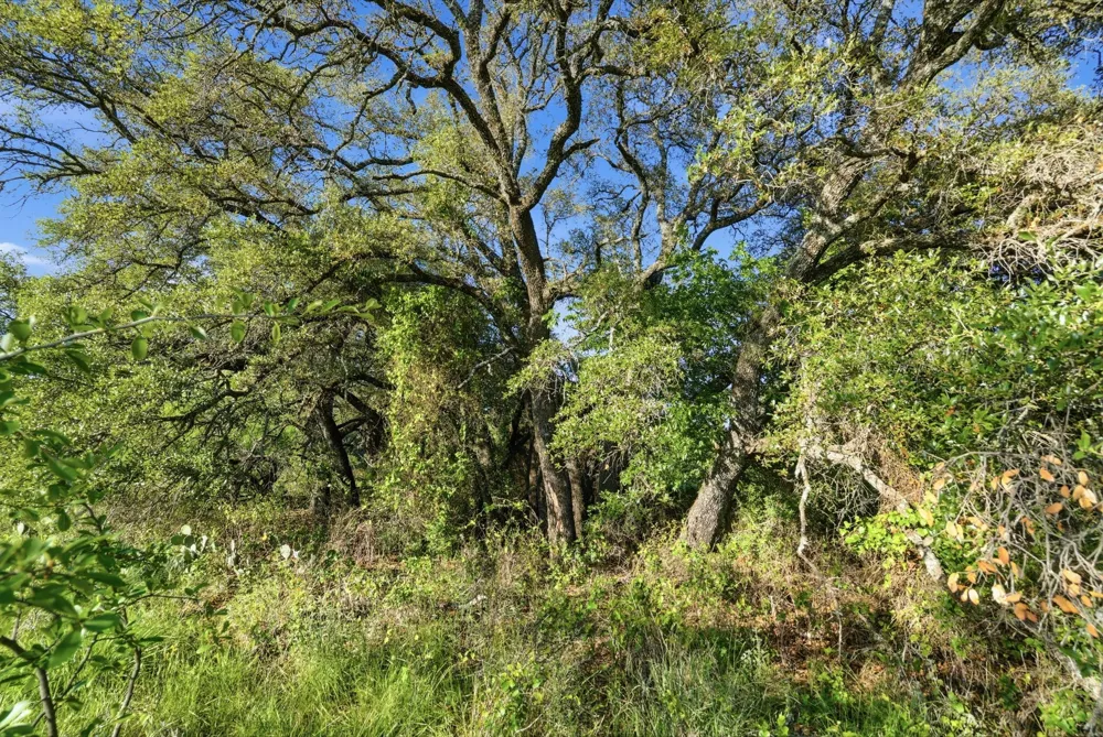 1343 County Road 188 Cross Plains, TX 76443