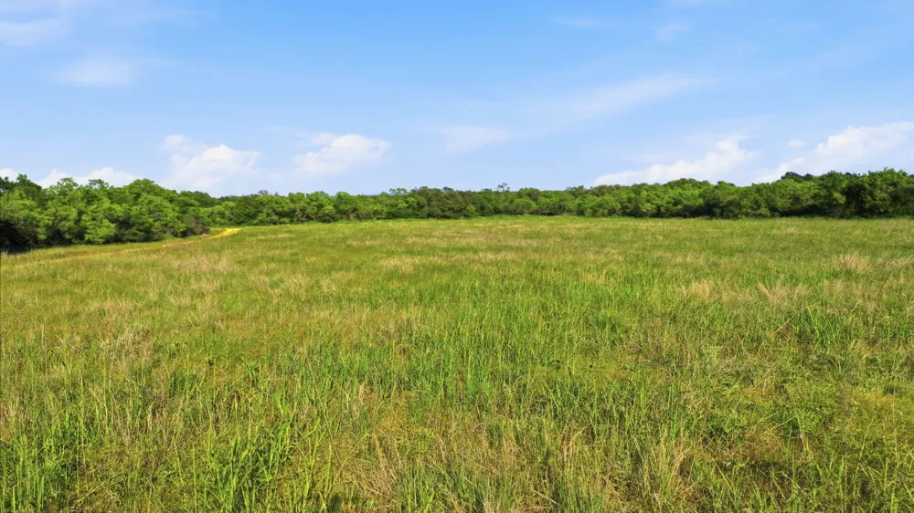 1343 County Road 188 Cross Plains, TX 76443