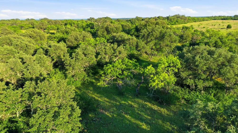 1343 County Road 188 Cross Plains, TX 76443
