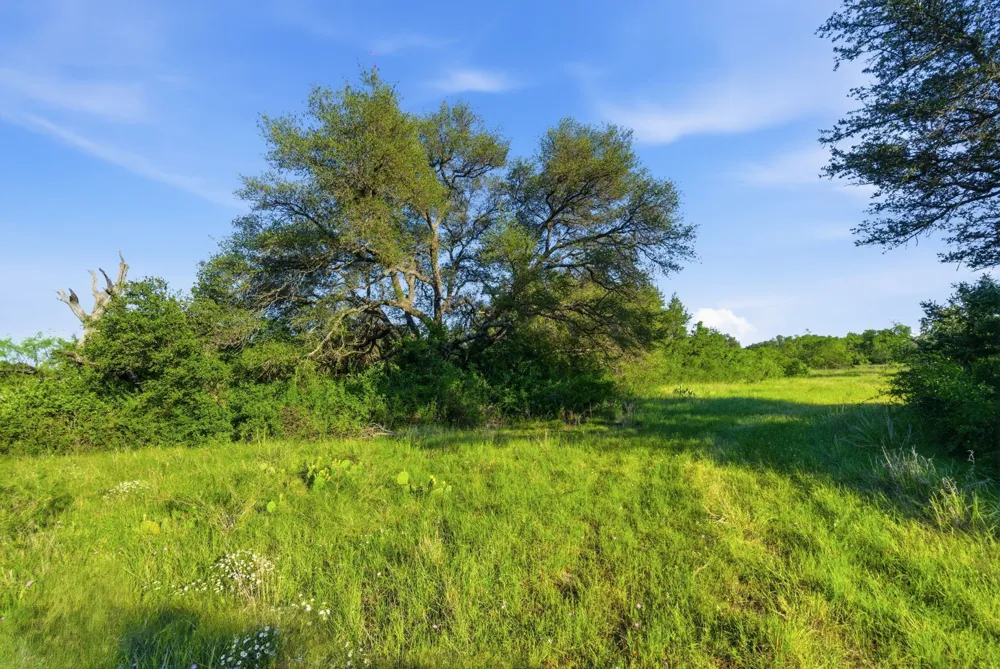1343 County Road 188 Cross Plains, TX 76443