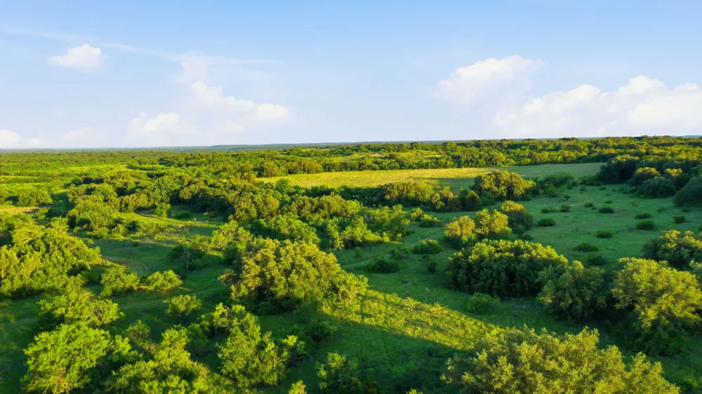 1343 County Road 188 Cross Plains, TX 76443