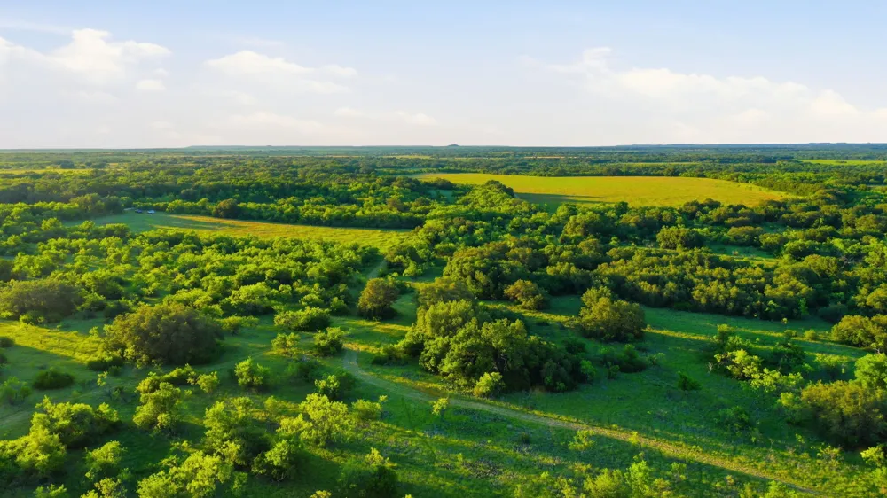 1343 County Road 188 Cross Plains, TX 76443