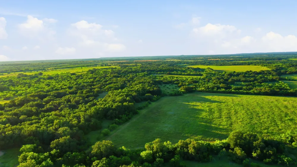 1343 County Road 188 Cross Plains, TX 76443