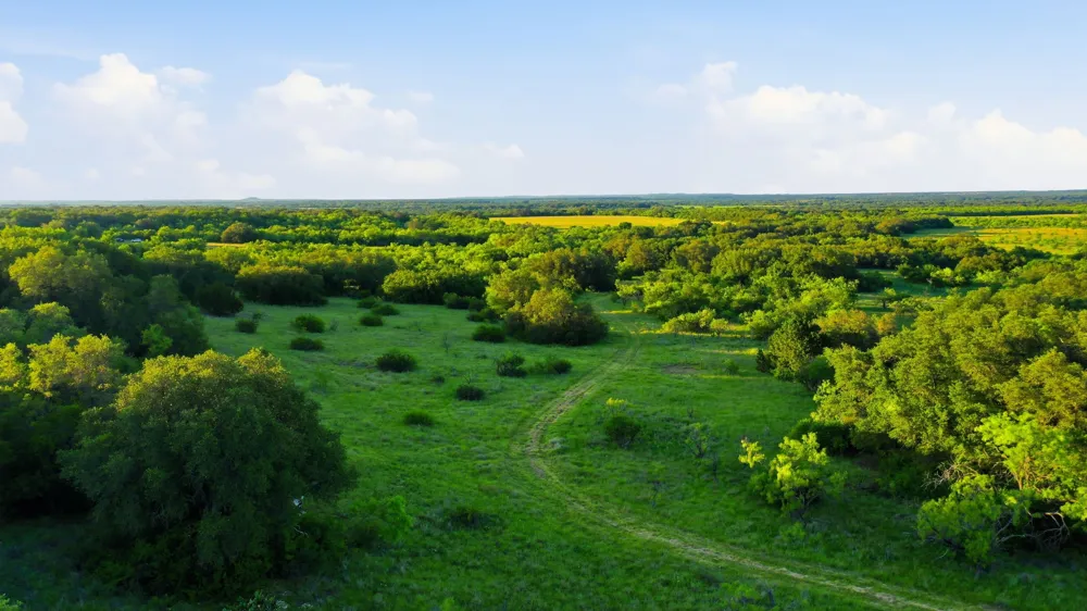 1343 County Road 188 Cross Plains, TX 76443