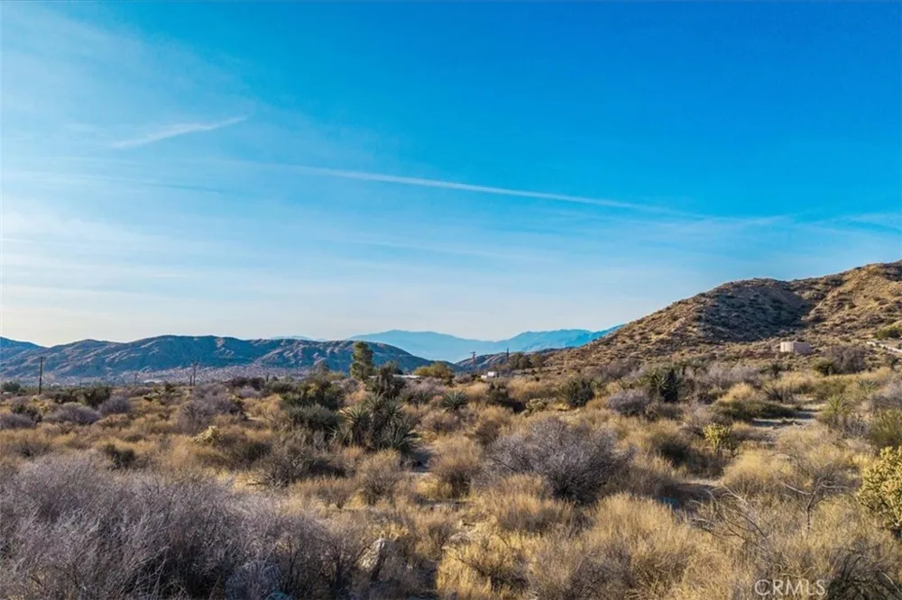 Palo Verde Road Morongo Valley, CA 92256