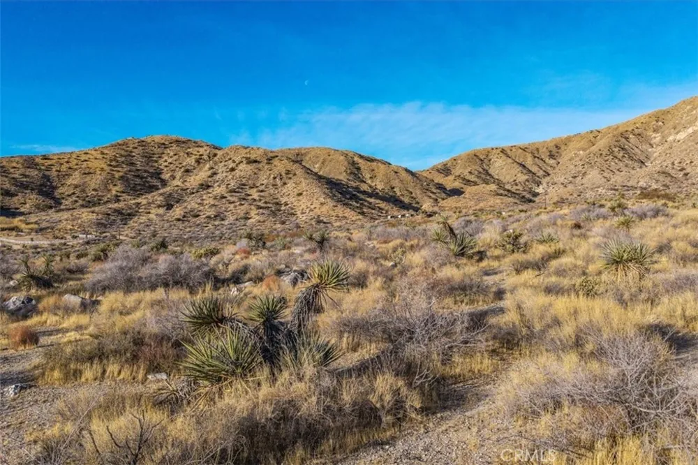 Palo Verde Road Morongo Valley, CA 92256
