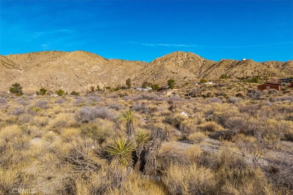 Palo Verde Road Morongo Valley, CA 92256