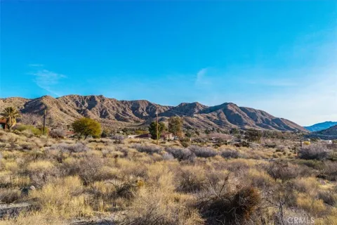 Palo Verde Road