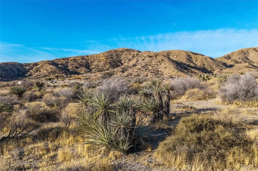 Palo Verde Road Morongo Valley, CA 92256