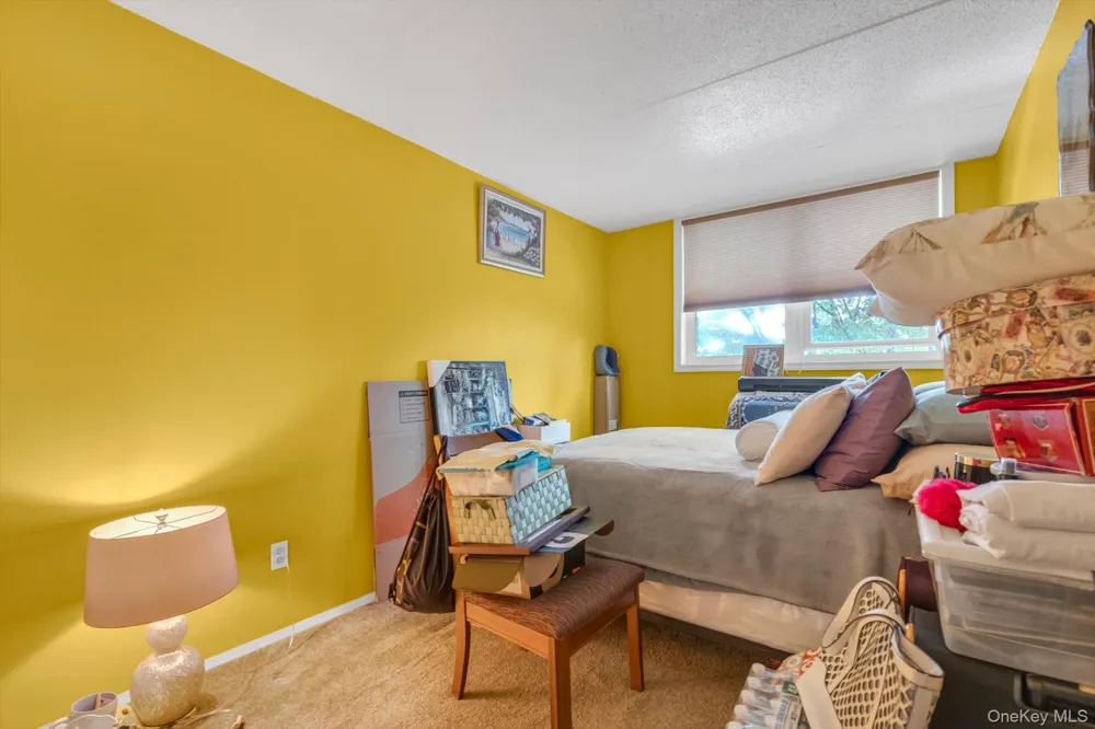 126 Sunset Boulevard #11126 Bronx, NY 10473