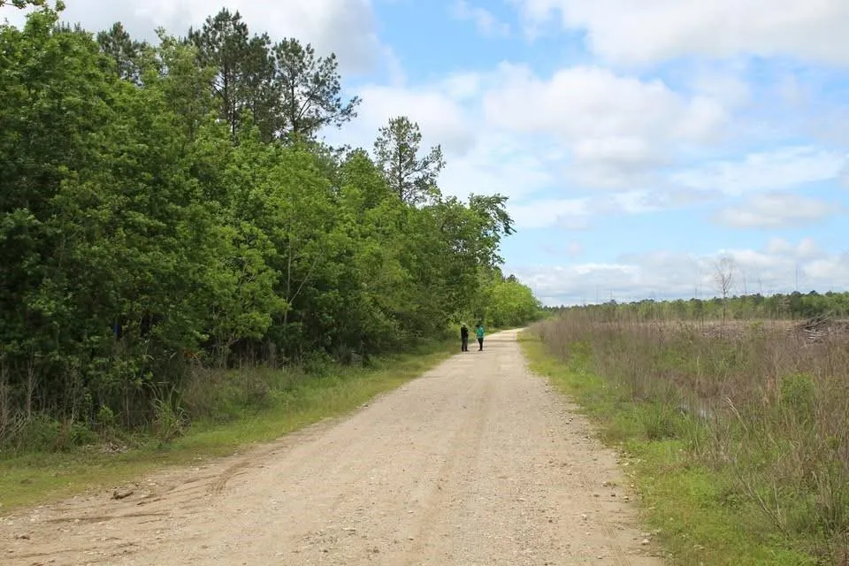 Gates Devers, TX 77538