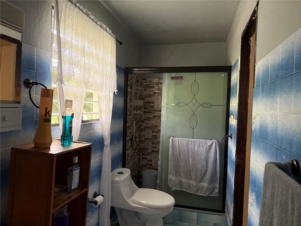 276 ROSA SANCHEZ Yabucoa, PR 00767