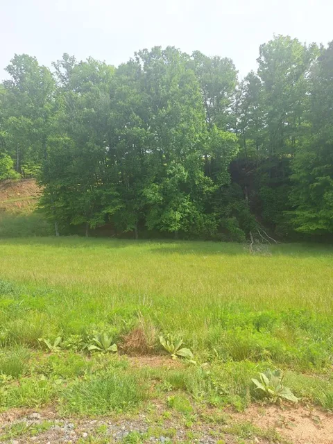 Lot 67 Hillside