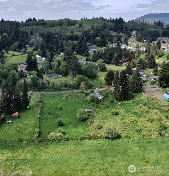 0 X Krause Road Raymond, WA 98577
