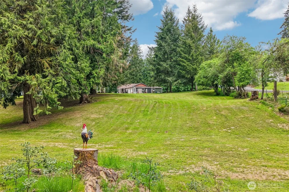 250 Olsen Rd. Kelso, WA 98626