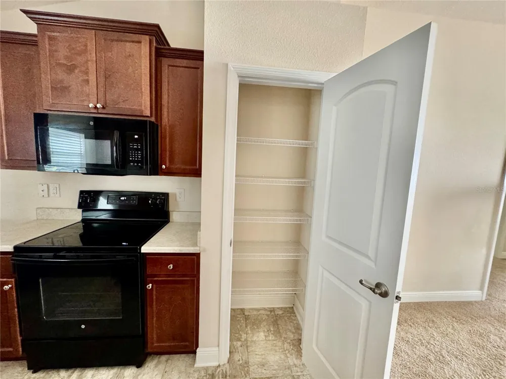 906 CHESTNUT DRIVE Fruitland Park, FL 34731