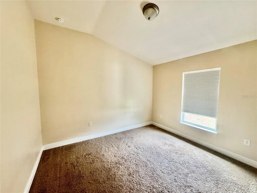 906 CHESTNUT DRIVE Fruitland Park, FL 34731