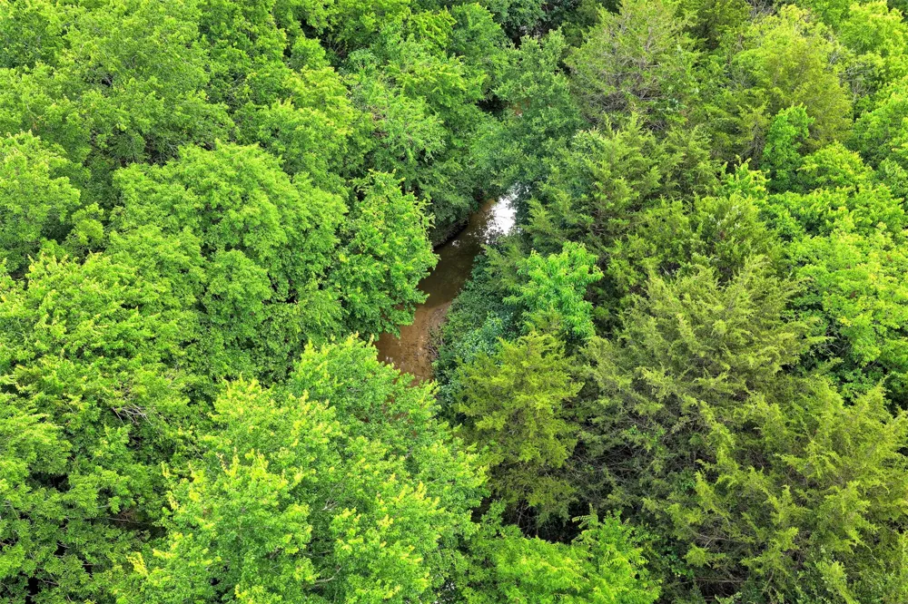 Dowell Road Rockwall, TX 75032