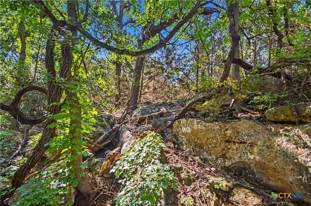 179 E County Road 318 Goldthwaite, TX 76844