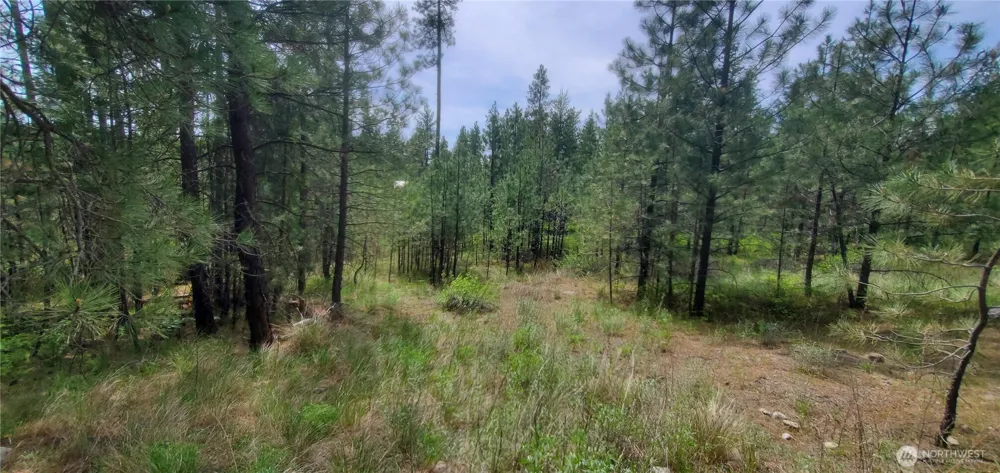 6 Lot Okanogan River Ranches Div 1 Tonasket, WA 98855