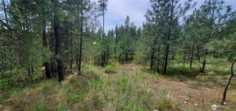 6 Lot Okanogan River Ranches Div 1