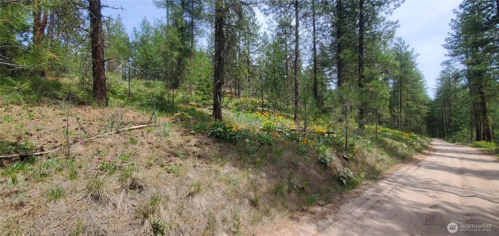 6 Lot Okanogan River Ranches Div 1 Tonasket, WA 98855