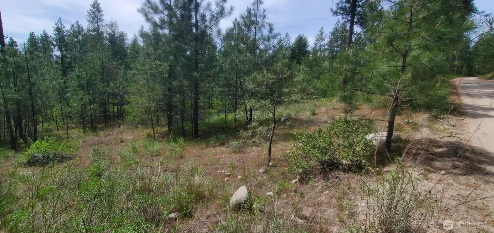 6 Lot Okanogan River Ranches Div 1 Tonasket, WA 98855