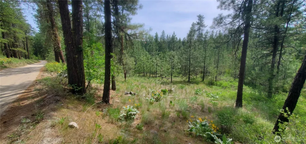 6 Lot Okanogan River Ranches Div 1 Tonasket, WA 98855