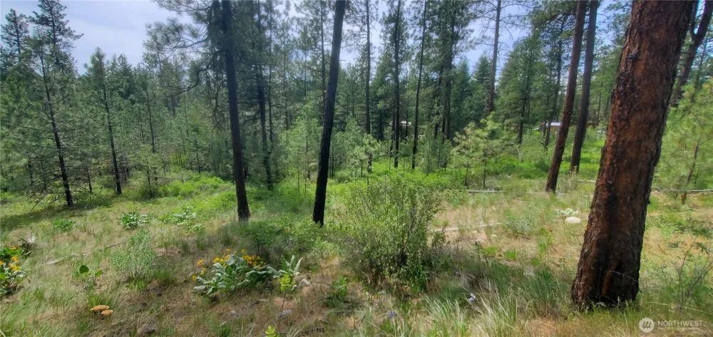 6 Lot Okanogan River Ranches Div 1 Tonasket, WA 98855