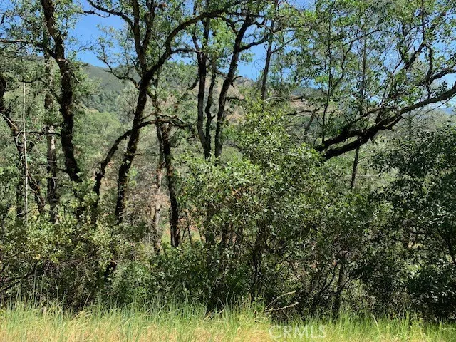 7268 Shasta Nice, CA 95464