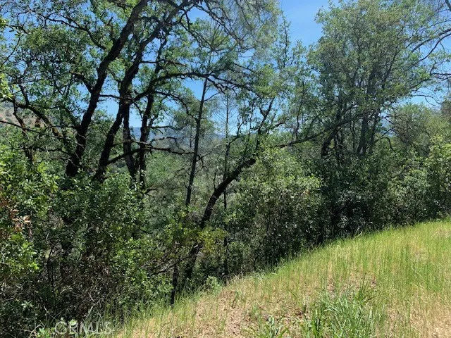 7268 Shasta Nice, CA 95464