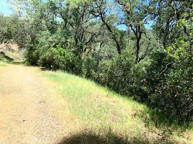7268 Shasta Nice, CA 95464