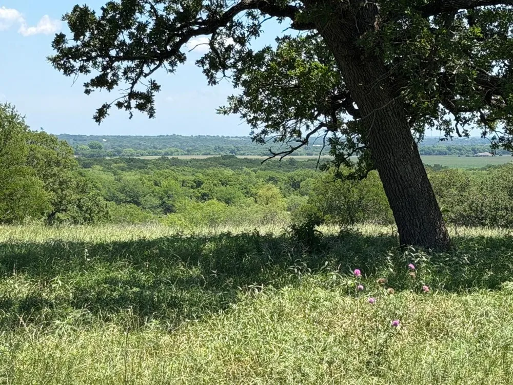 2041 FM933 Aquilla, TX 76622